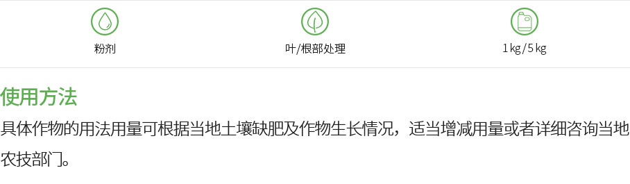 摡福特 400(圖1)